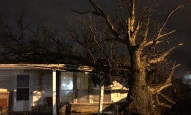 Tree falls into house in northeast Columbia.