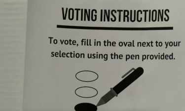 Voting instructions