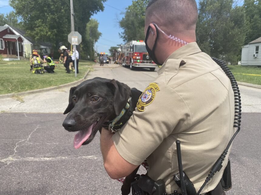 Dog escapes Columbia house fire