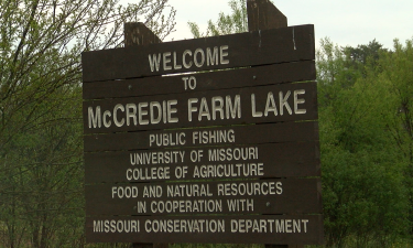 McCredie Farm Lake