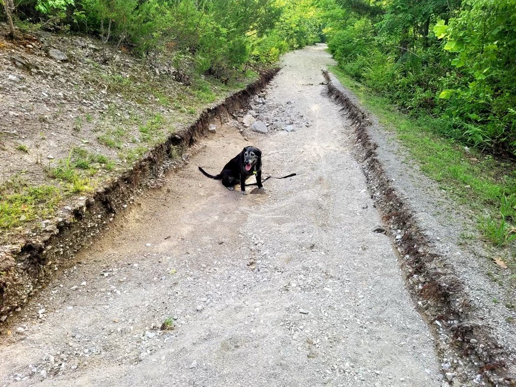 The Columbia Parks and Recreation Department says they have started repairing trails that were washed out after recent rains.