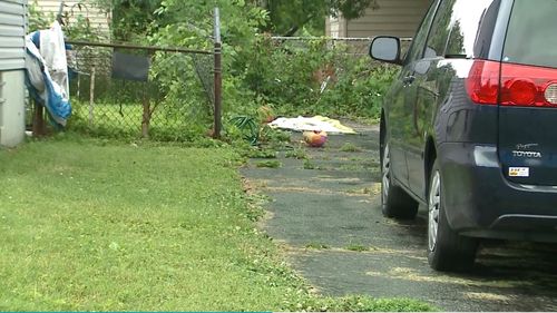 Man shot in the chest, killed over grass clippings dispute in St. Louis