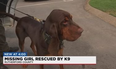 A bloodhound with the Rutherford County Sheriff's Office is being credited with helping locate a missing 6-year-old girl.