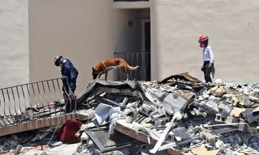 Search and rescue personnel search for survivors through the rubble with their dogs at the Champlain Towers South in Surfside
