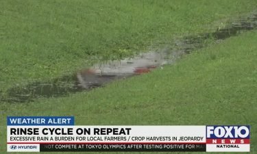 Farmers have been dealing with excessive rain and it is putting crop harvests in jeopardy.