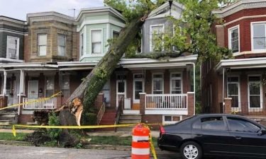 Two people were rescued after a large tree crashed into a home amid a storm in west Baltimore.