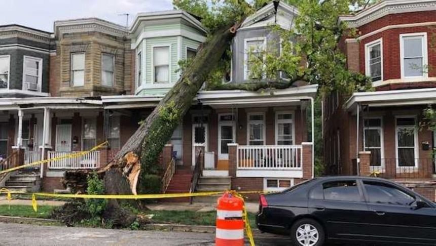 <i>WBAL</i><br/>Two people were rescued after a large tree crashed into a home amid a storm in west Baltimore.