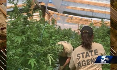 Many marijuana growers say they're being unfairly targeted because of the industry they're in after state drug agents have conducted two dozen busts at marijuana farms since mid-April