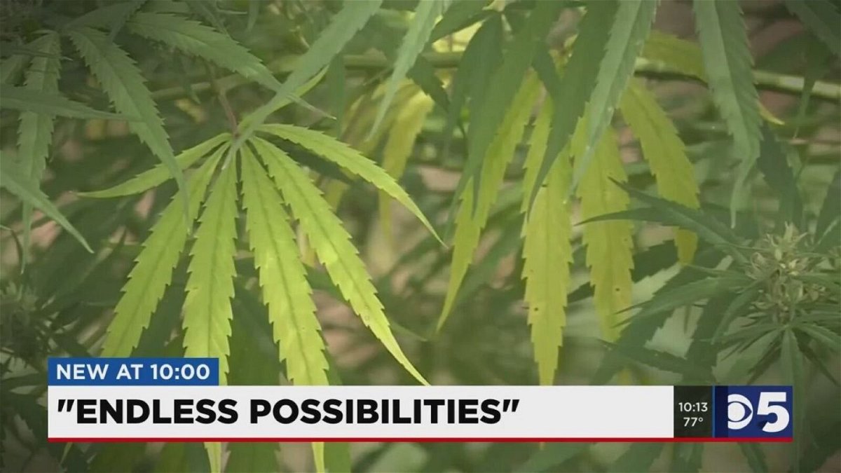 <i>KCTV</i><br/>As the hemp industry starts to take off in the Midwest
