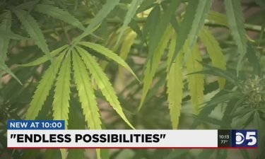 As the hemp industry starts to take off in the Midwest
