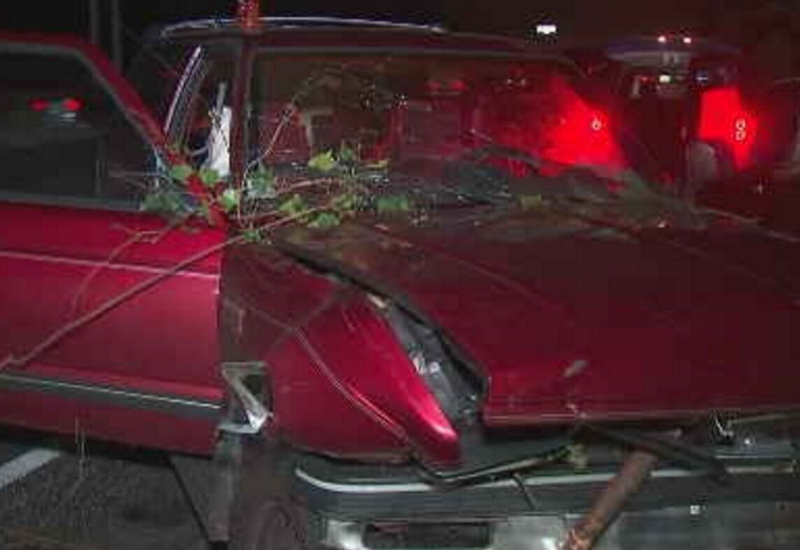 <i>WGCL</i><br/>A damaged truck sits idle after a tree slammed into it on an Atlanta-area highway.