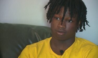 A Metro East mom is pressing for answers after she says her son was attacked by a Granite City police dog.