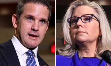 After Rep. Adam Kinzinger of Illinois joined Rep. Liz Cheney of Wyoming in becoming the lone Republicans to serve on the select committee