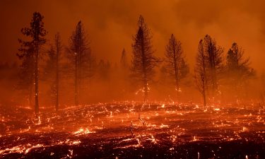 Embers float across a field in the Beckwourth Complex Fire in California on July 9. The Biden administration has chosen longtime EPA scientist Allison Crimmins to lead the next National Climate Assessment