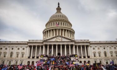A large group of rioters stand on the East steps of the Capitol Building after storming its grounds on January 6 in Washington