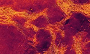 This false color image shows Lavinia Planitia