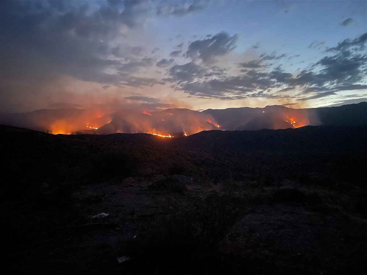 <i>Prescott National Forest</i><br/>The Tiger Fire in Arizona has so far burned 9