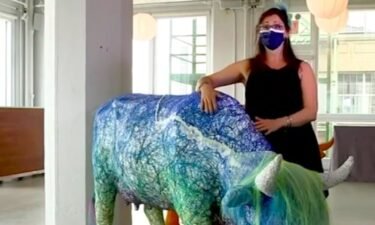 The CowParade public art exhibit is back in New York City after more than 20 years. Brooklyn artist Rachel Goldsmith has grown attached to her cow.
