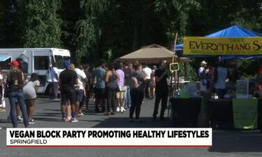 The second annual vegan block party took place in Springfield Sunday. More than a dozen vendors were at the event all of which were owned by local businesses.