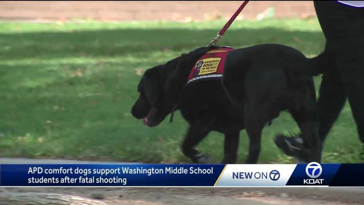<i>KOAT</i><br/>Students at Washington Middle School were welcomed back to school with comfort dogs.