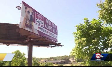 A Kansas City animal advocate is hoping a 30-foot billboard will help some of the city's long-term shelter pets get adopted.