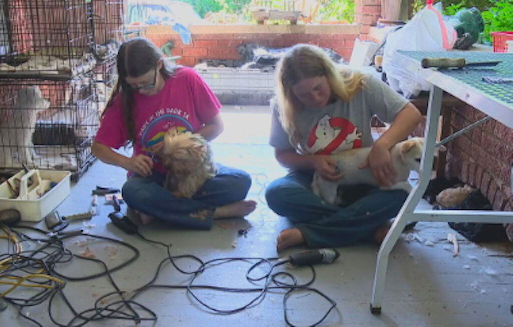 <i>WLOS</i><br/>Pam's Pet Center is still grooming on Christy Welch's front porch.