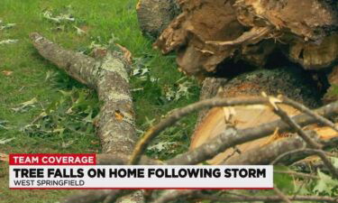 A microburst sent a tree crashing down on the home of John and Estelle Reardon just as they were traveling to celebrate their 59th wedding anniversary.