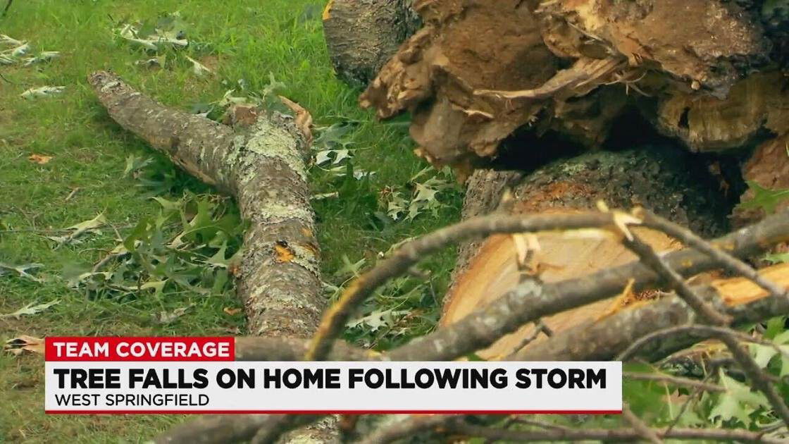 <i>WSHM</i><br/>A microburst sent a tree crashing down on the home of John and Estelle Reardon just as they were traveling to celebrate their 59th wedding anniversary.