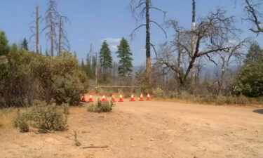 Authorities in Mariposa County