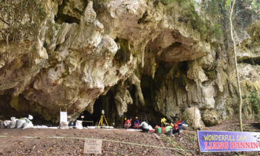 The Leang Panninge cave is where researchers uncovered the remains a young hunter-gatherer from 7