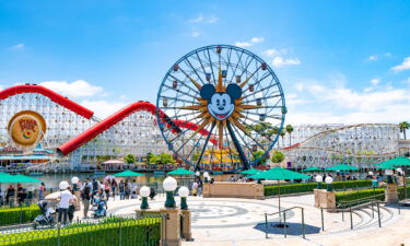 Millions of guests visit Disney theme parks each year