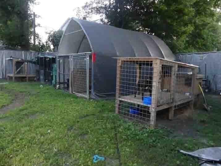 <i>WFSB</i><br/>Connecticut's attorney general is seeking state custody of eight pit bulls that were believed to have been involved in a multi-state illegal dog fighting ring.