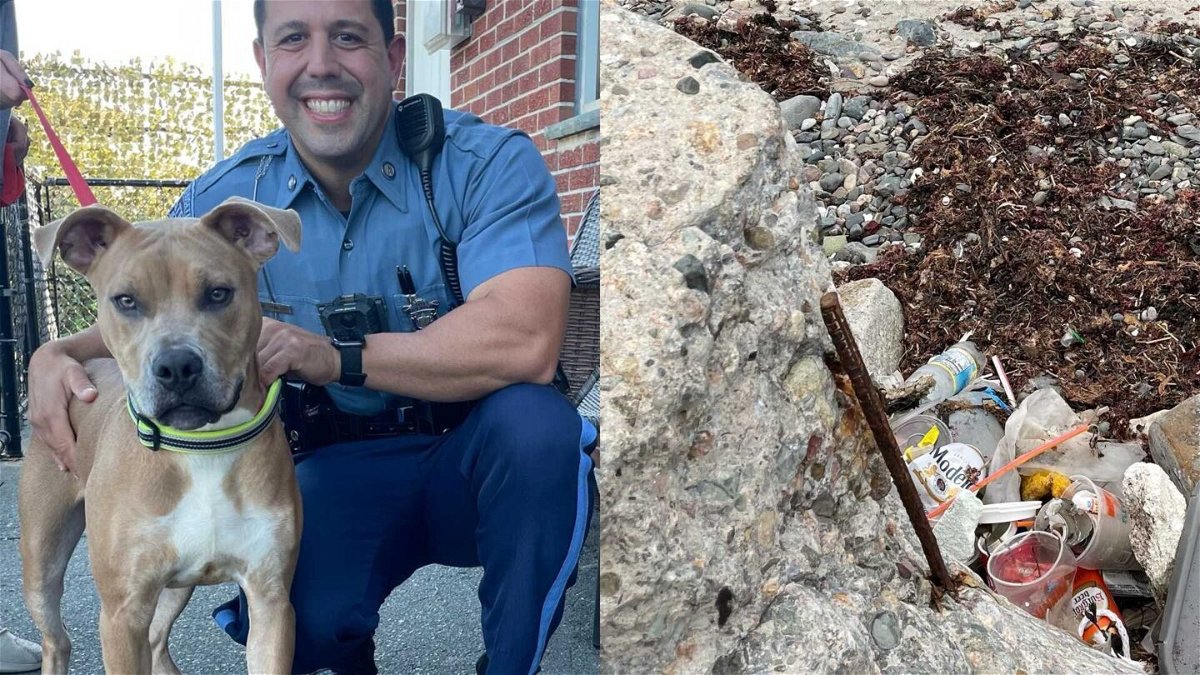 <i>Mass. State Police via WCVB</i><br/>A Revere man was charged with animal cruelty after police say he chained a dog to a steel rod embedded in cement at the edge of a Massachusetts beach and then walked away.