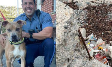 A Revere man was charged with animal cruelty after police say he chained a dog to a steel rod embedded in cement at the edge of a Massachusetts beach and then walked away.