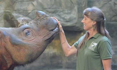 The Cincinnati Zoo is forming a team of rhinoceros experts to help save the species.
