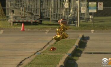 Balloons and flowers mark the spot where Quraan Smith