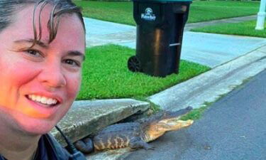 A Palm Bay police officer took a selfie with an alligator emerging from a storm drain.