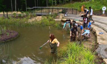 Students from Asheville's Hillcrest community took a field trip to the NC Arboretum with a UNC Asheville after-school program to get a bit closer to nature.