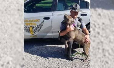 OSP posted to Twitter saying Trooper Gable from the Batavia Post was working stationary patrol when he came across a dog.