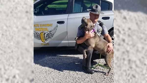 <i>WLWT via OSP</i><br/>OSP posted to Twitter saying Trooper Gable from the Batavia Post was working stationary patrol when he came across a dog.