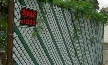 Two dogs at the center of a series of suburban dog attacks were euthanized following the latest attack in Elmwood Park.