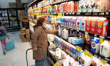 The dairy shelf is crowded