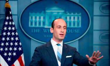 Stephen Miller seemed floored by the idea