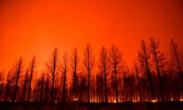 The night sky glowing after trees burned along Highway 395 during the Dixie Fire in the early morning of Aug. 17 near Janesville