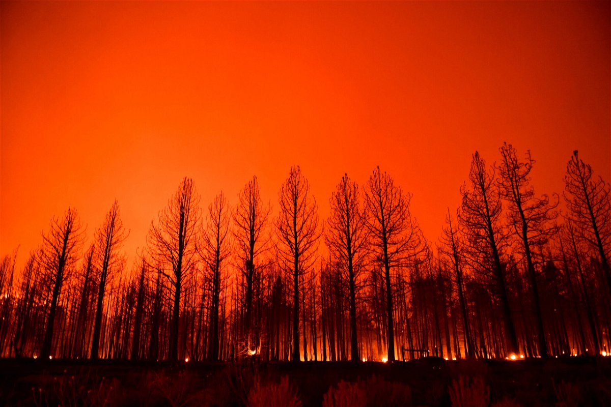 <i>Patrick T. Fallon/AFP/Getty Images</i><br/>The night sky glowing after trees burned along Highway 395 during the Dixie Fire in the early morning of Aug. 17 near Janesville