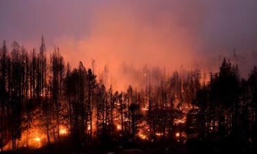 California could be dealing with massive wildfires until the end of the year. Trees scorched by the Caldor Fire smolder in Eldorado National Forest