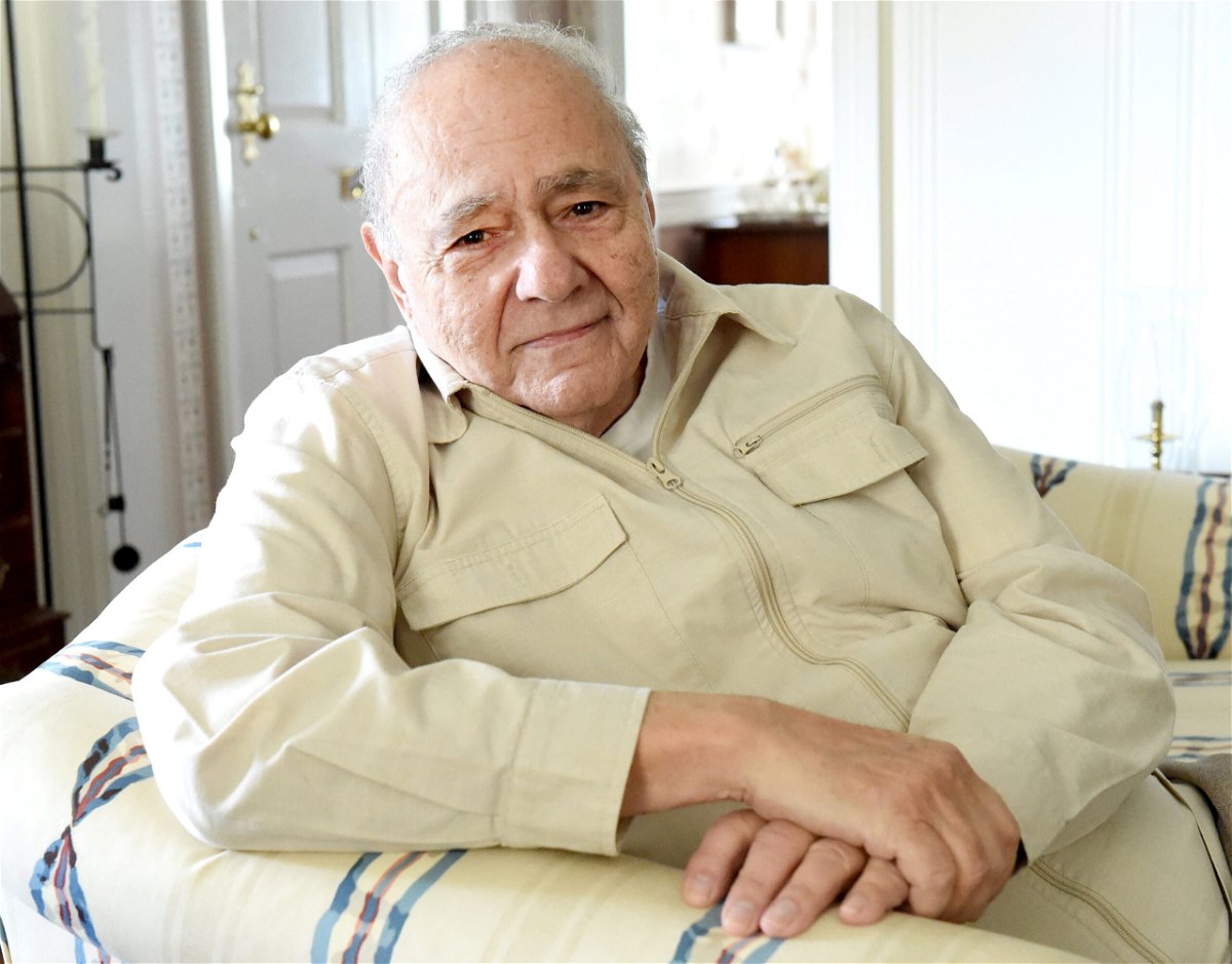 <i>Harold Hoch/MediaNews Group/Reading Eagle/Getty Images</i><br/>Michael Constantine was best known for his portrayal of the father in the 2002 movie