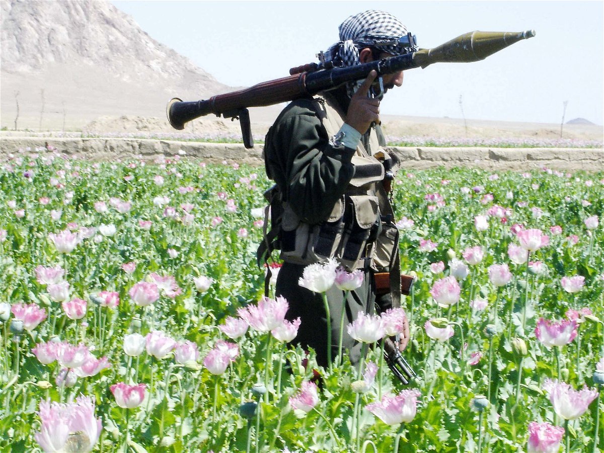 <i>Emmanuel Duparcq/AFP/Getty Images</i><br/>An Afghan soldier walks through a field of poppies during an eradication campaign in Kandahar province's Maiwand district in 2005.