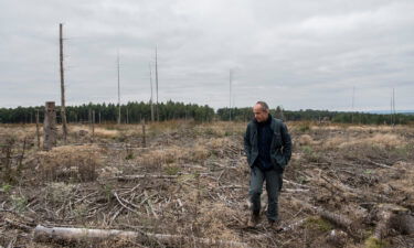 Peter Meyer shows an area where trees were completely destroyed by the bark beetle.