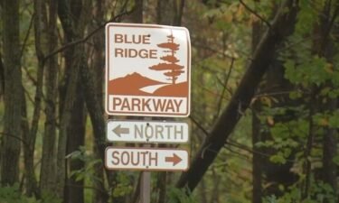 A couple was treated for injuries and released after a bear attack in the parking area of the Folk Art Center on the Blue Ridge Parkway.